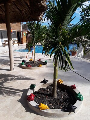 Een zwembadterras met palmbomen, een houten terras en een zwembad.