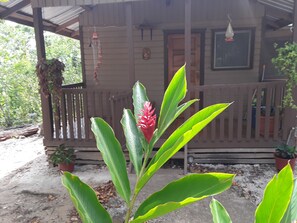 Exterior detail - Set in the jungle, Ginger Lily is a self catering 1 bedroom cabin featuring A/C (Unitedville)