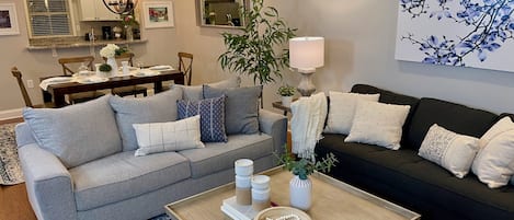 Smart TV, chimenea, libros