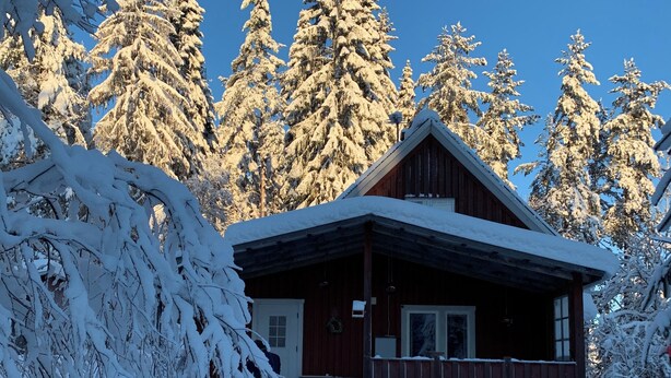 A cabin surrounded by snow-covered trees. - Grab your chance! Our plans have changed making Nickebo bookable after all! (Torsby)