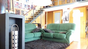 Un salon avec un canapé vert, un tapis noir à poils longs et un objet métallique posé sur une étagère.