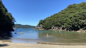 A coastal landscape with a clear sky, a sandy beach, and a forested hillside. - Pension Shishikui (Kaiyo)