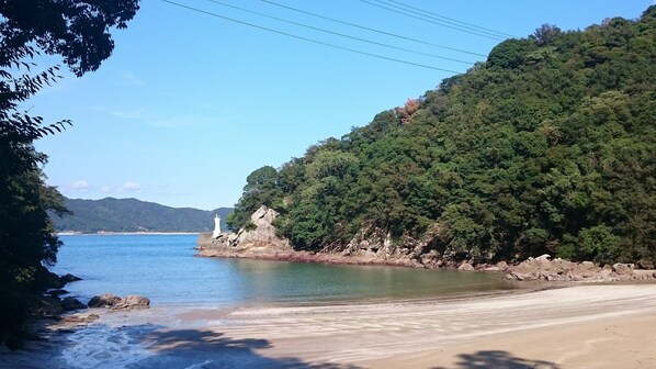 A coastal landscape with a lighthouse, sandy beach, and dense forest.