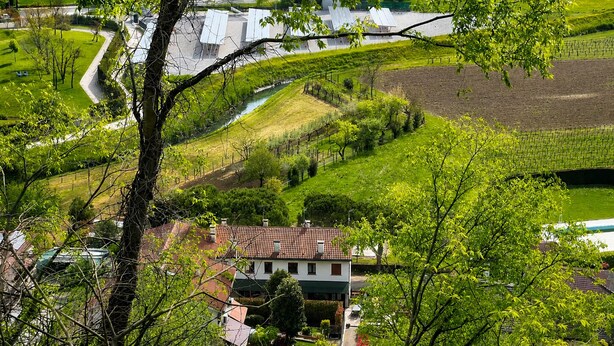 A residential area with a house, a garden, and a vineyard.