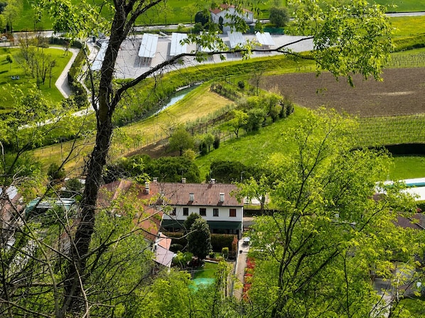 A residential area with a house, a garden, and a vineyard.