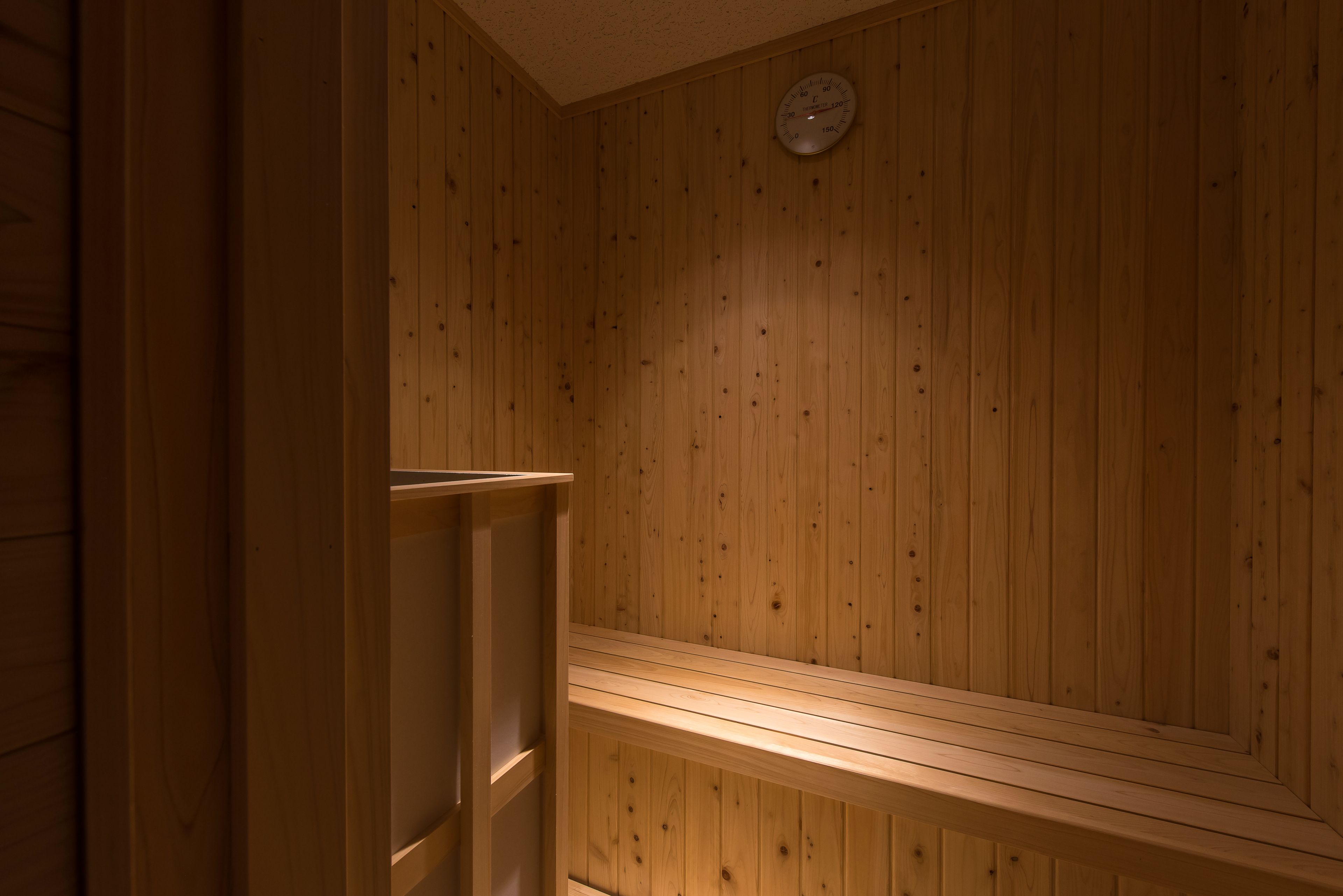 suite room, smoking | bathroom | separate bathtub and shower, jetted bath, free toiletries, hair dryer