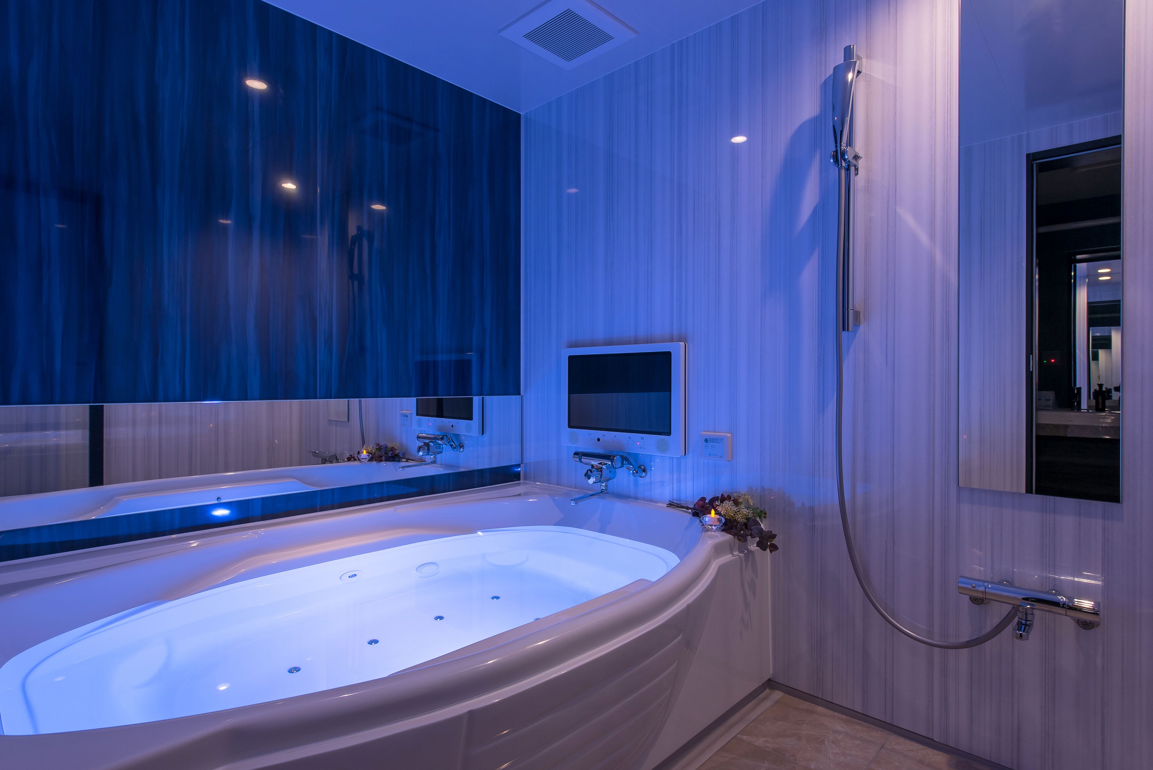 deluxe double room, smoking | bathroom | separate bathtub and shower, jetted bath, free toiletries, hair dryer