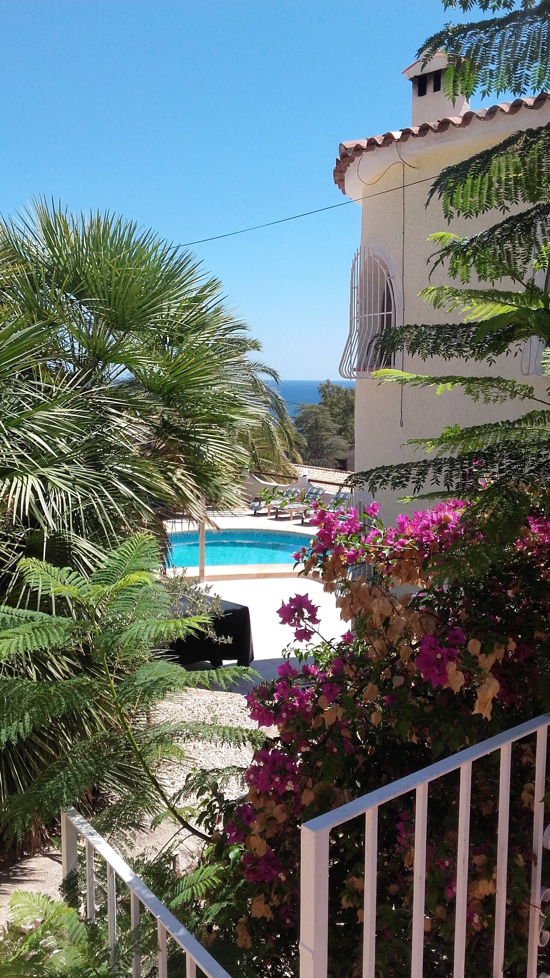 A pool area with a view of the sea, surrounded by lush greenery and flowering plants.