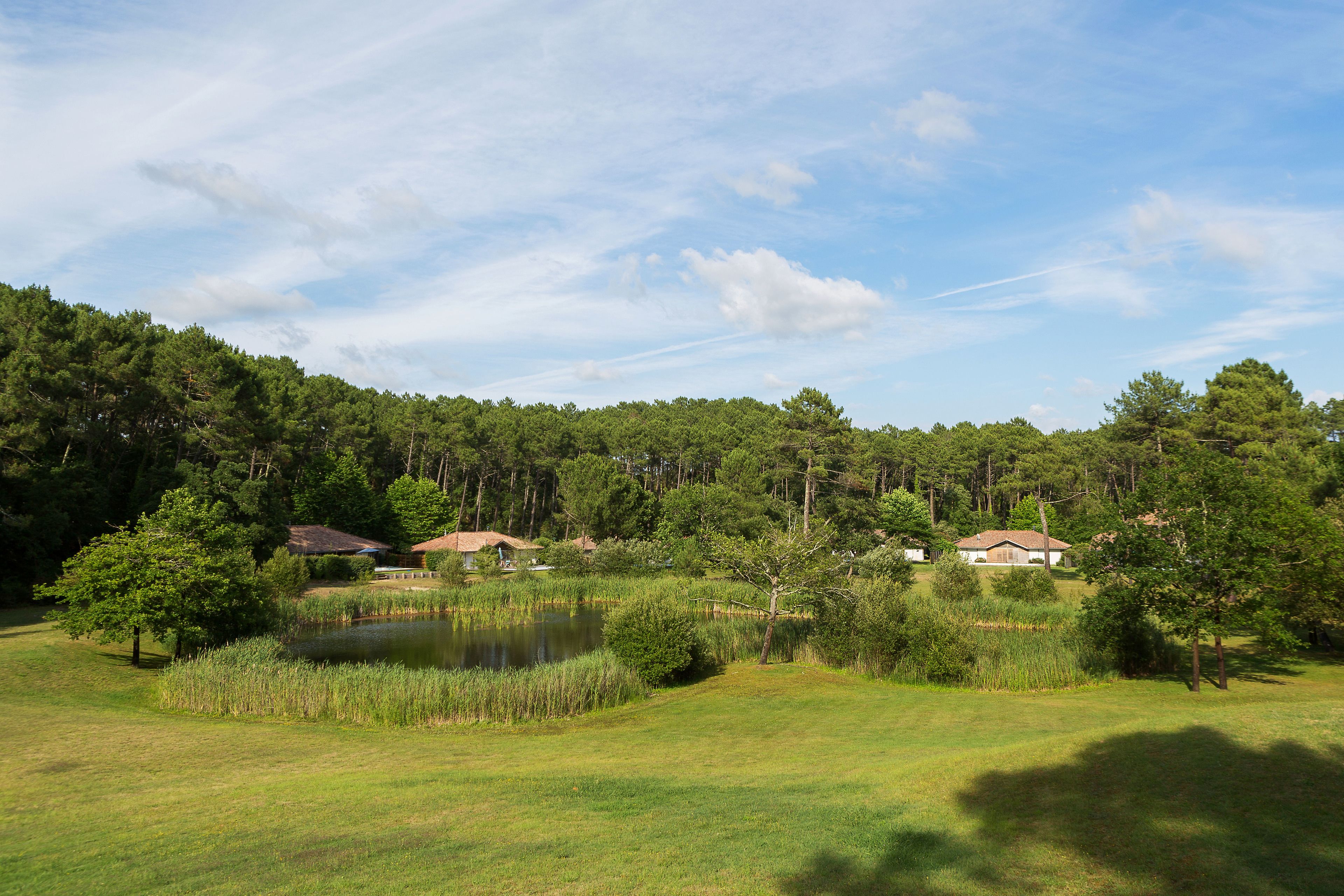 Eine friedliche Landschaft mit Teich, Bäumen und zwei Häusern in ländlicher Umgebung.