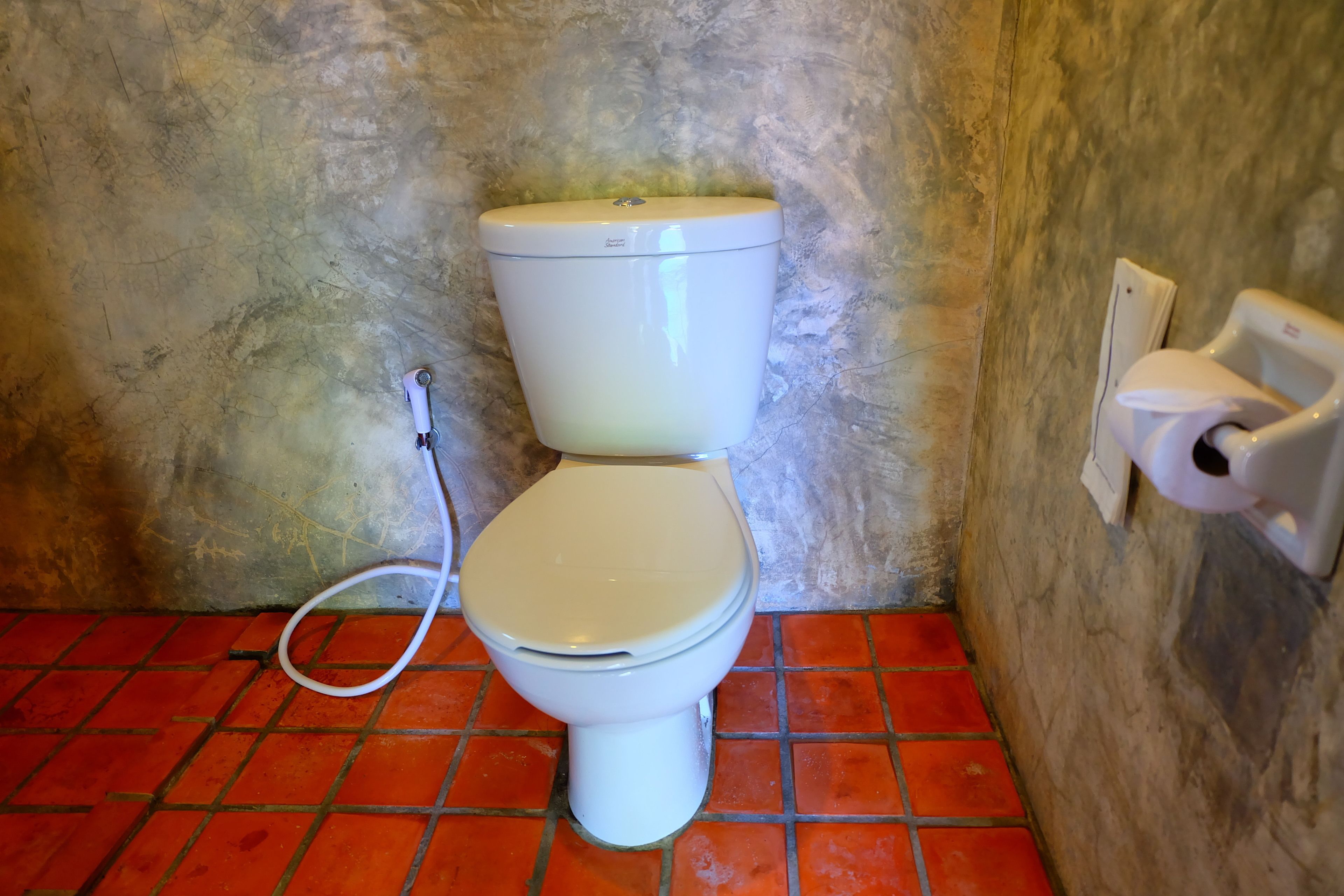 Un inodoro con asiento y tapa blancos, un botón de descarga visible y un dispensador de papel higiénico en la pared.