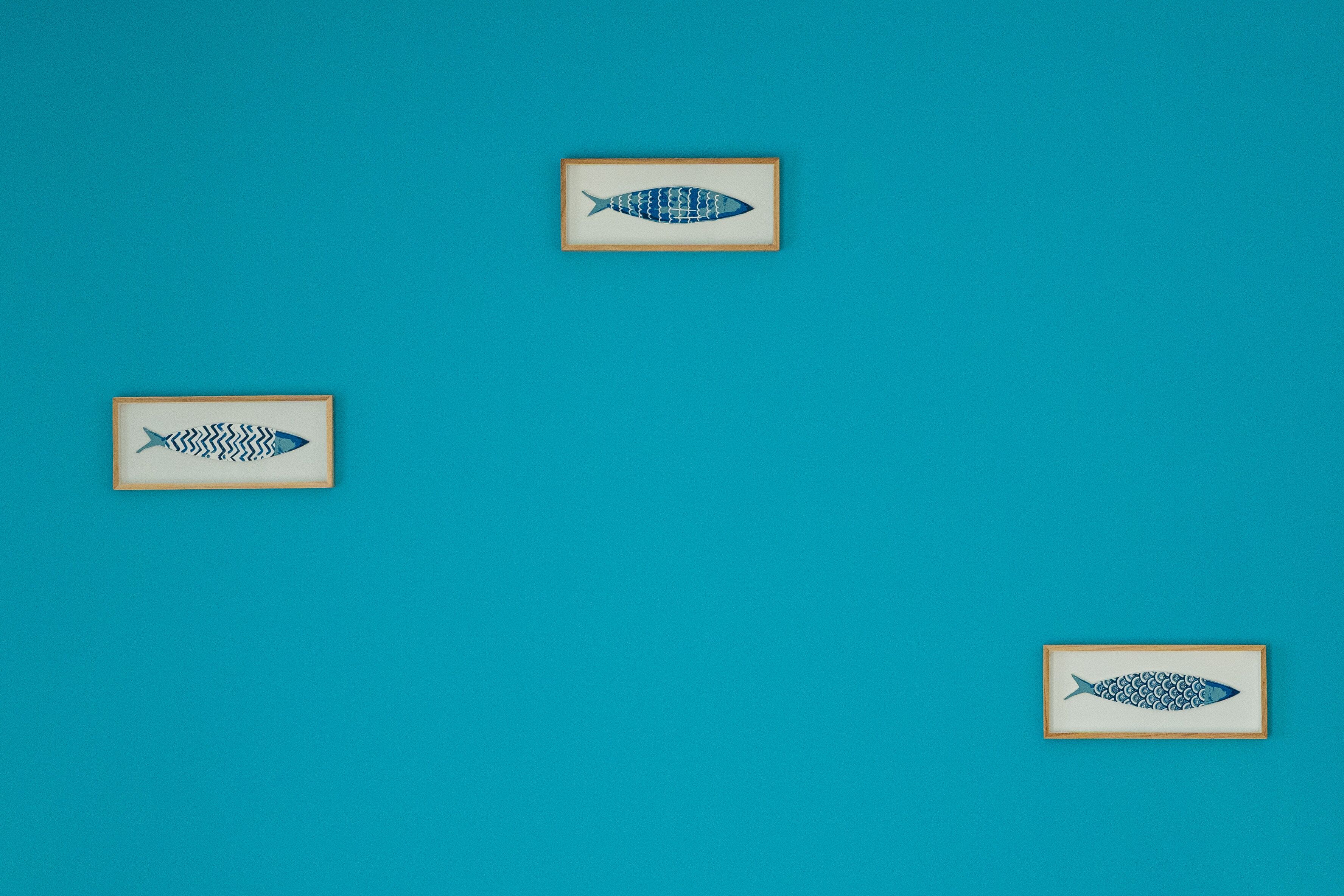Three framed fish patterns on a teal background.