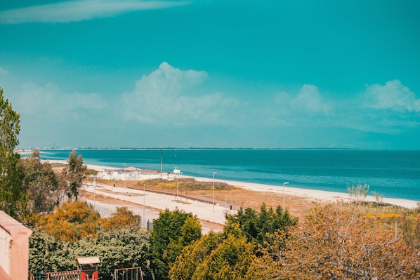 A coastal view with a beach, trees, and a clear sky.