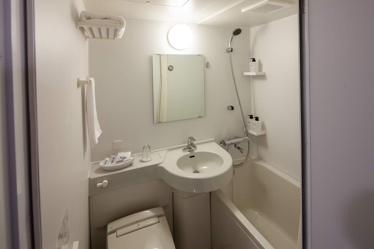 combined shower/bathtub, free toiletries, hair dryer, slippers