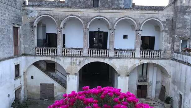 A courtyard with a central archway, a balcony with railings, and a large bush of pink flowers.