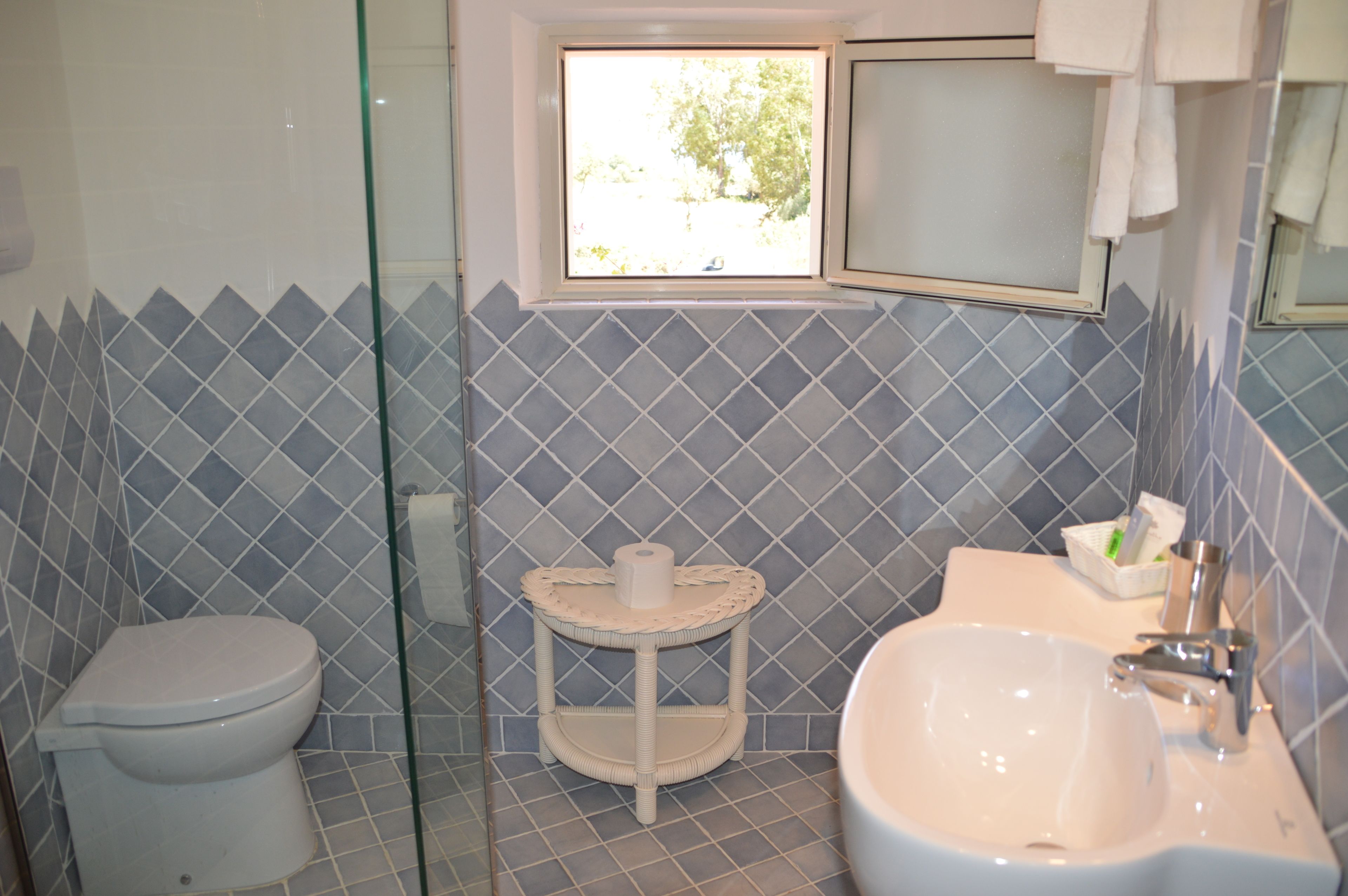 classic double or twin room, hill view | bathroom | shower, free toiletries, bidet, towels