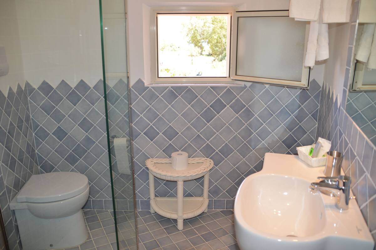 classic double or twin room, hill view | bathroom | shower, free toiletries, bidet, towels