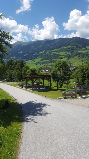 Basic Studio, 1 Queen Bed, Mountain View, Slope side | View from property - Fasserhof (Bramberg am Wildkogel)