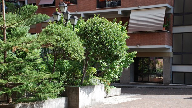 外观细节