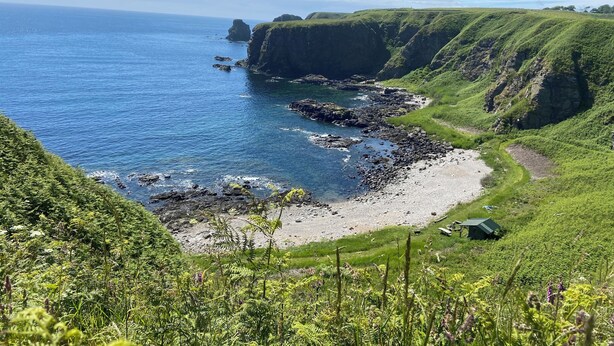Un paisaje costero con acantilados rocosos, una playa de arena y abundante vegetación.