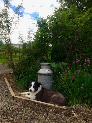 Garden - Ásar guesthouse (Akureyri)