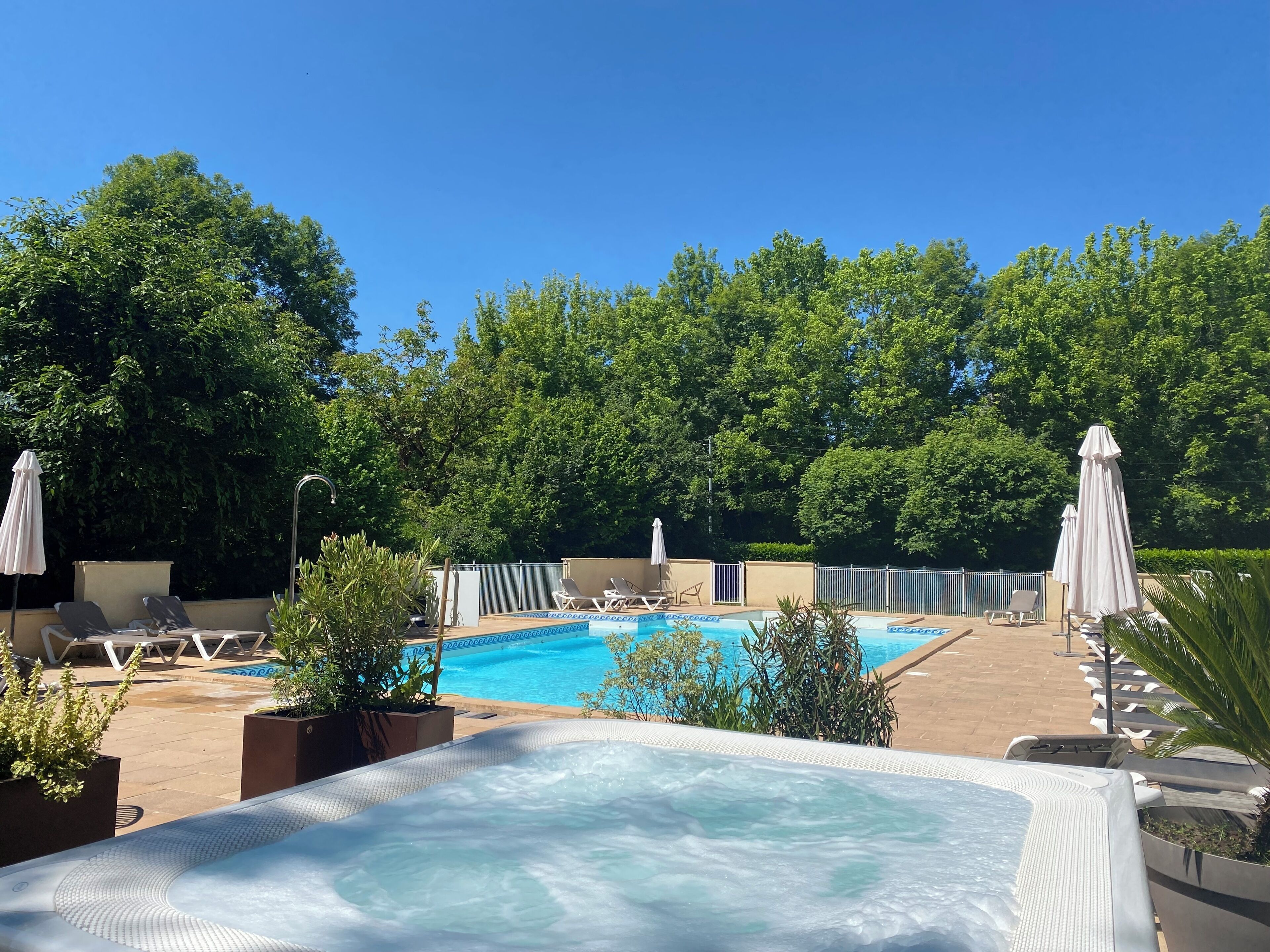 Una piscina con sillas de descanso y sombrillas, rodeada de vegetación.