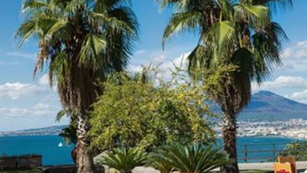 Zona pranzo all'aperto con tavoli e sedie, palme e vista sul mare con una montagna sullo sfondo.