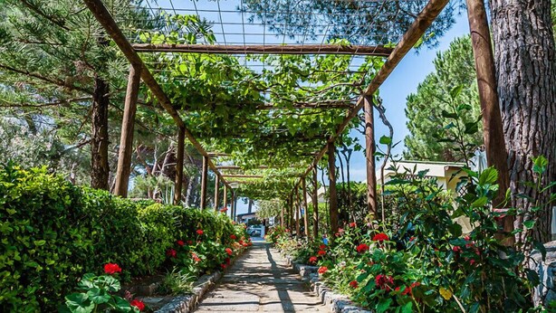 A pathway lined with greenery and red flowers, leading to a pergola structure. - Villaggio Residence Torre Saracena - Campsite (Camerota)