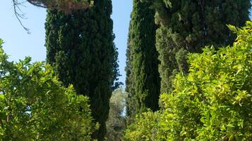 Double Room, Garden View | Garden view