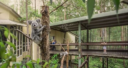 Springwood Meditation Vacation Center