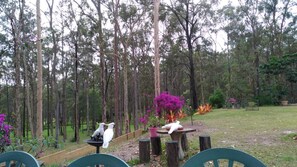 Khuôn viên nơi lưu trú