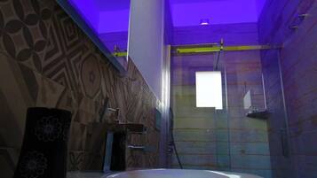 Shower, free toiletries, hair dryer, bidet