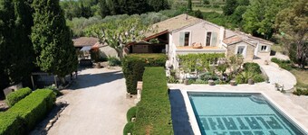 Le Vieux Platane
