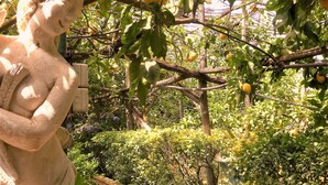 A garden with a statue, a tree with lemons, and a stone wall. - Nature, Relax and Sea view! (Massa Lubrense)