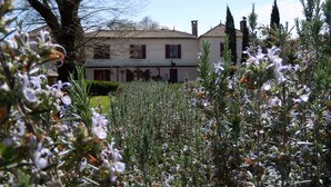 A large house with a tiled roof, surrounded by a garden with various plants and trees. - La Palombiere (Lucmau)