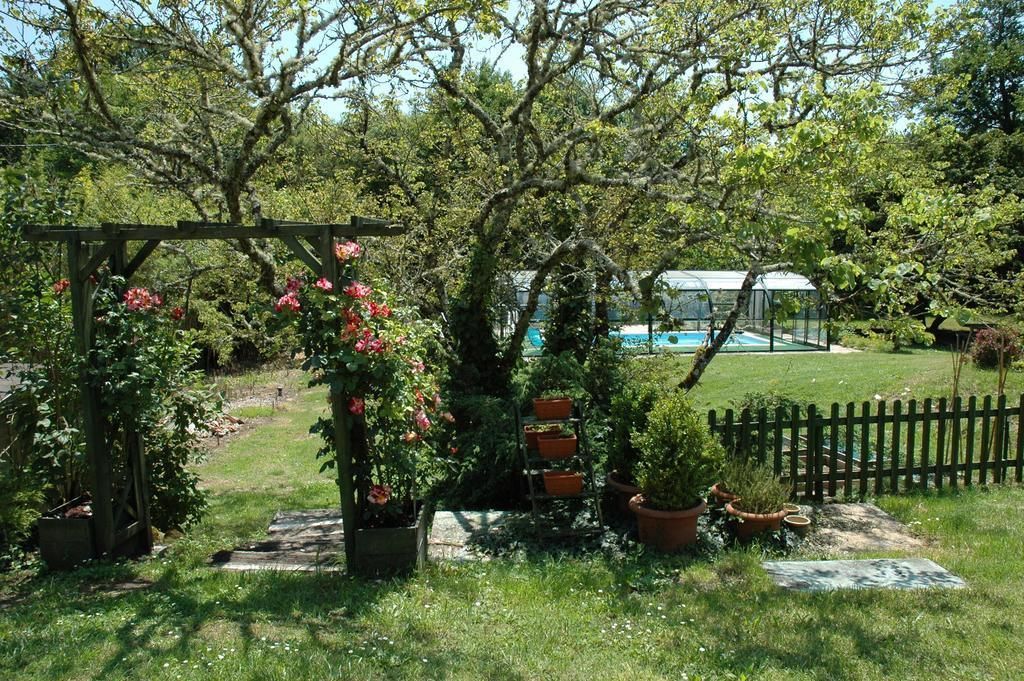 A garden with a wooden pergola, potted plants, a small pool, and a fenced area.