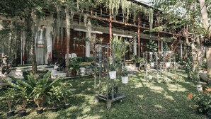 Un jardín con plantas diversas en macetas y una estructura metálica.