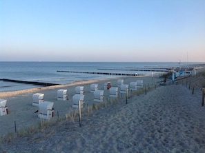 A beach with rows of white chairs lined up along the shore, a pier extending into the water, and a clear sky. - Dünenhotel am Meer (Rostock)