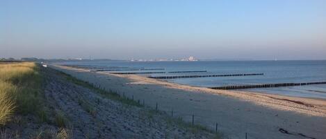 Ein Strand mit sandigem Ufer, grasbewachsenen Dünen und einem klaren Himmel.