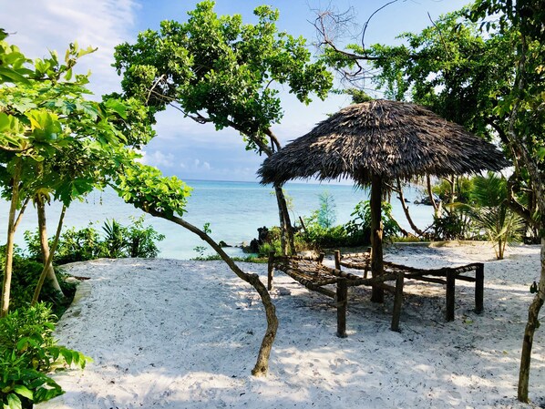 Plage à proximité, sable blanc, chaises longues, kayak