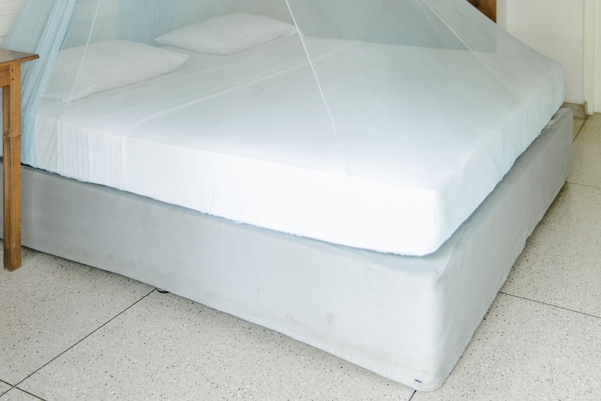 A bed with a canopy, wooden ceiling, and a white wall with a wooden shutter.