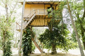 Baumhaus | Schreibtisch, kostenloses WLAN