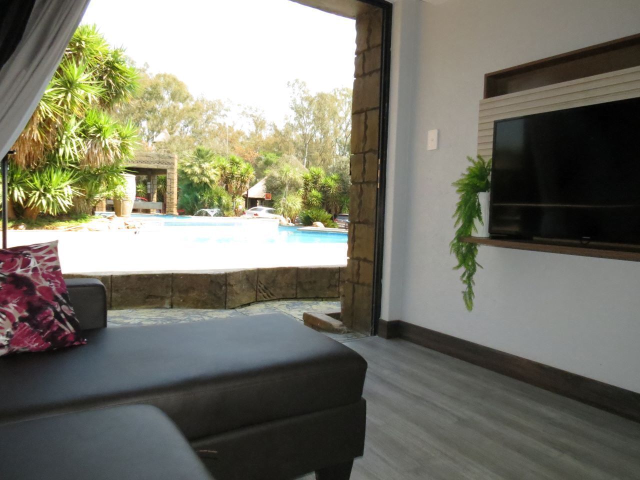 A room with a view of a swimming pool, a TV mounted on the wall, and a potted plant.