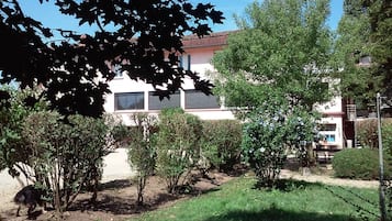 Tuin