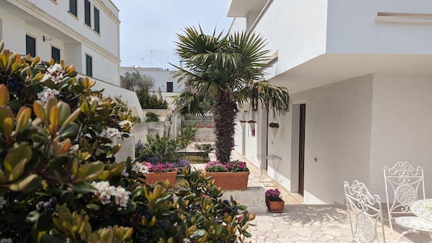 A courtyard with potted plants, a palm tree, and outdoor furniture. - B&B Bellavista (Castro)