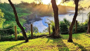 A grassy area with trees and a view of the ocean.