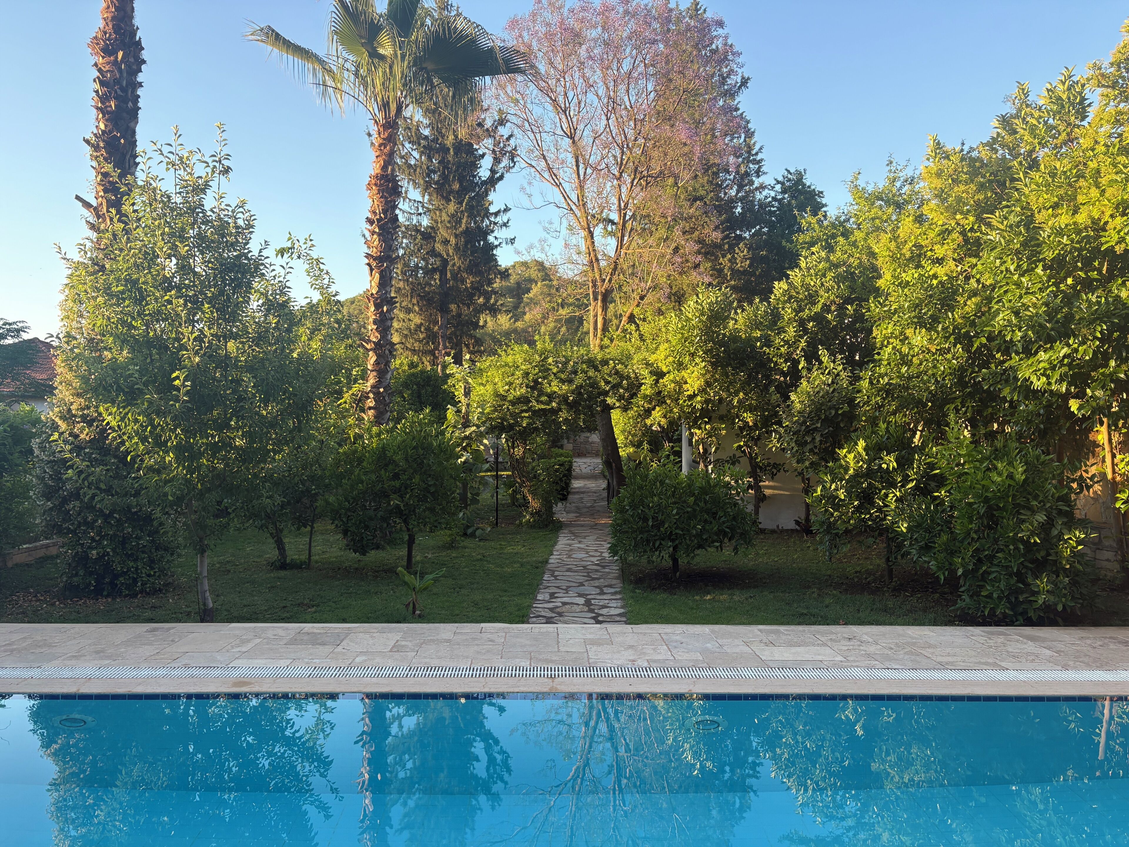 Una piscina rodeada de exuberante vegetación y un sendero de piedra que conduce a un edificio.