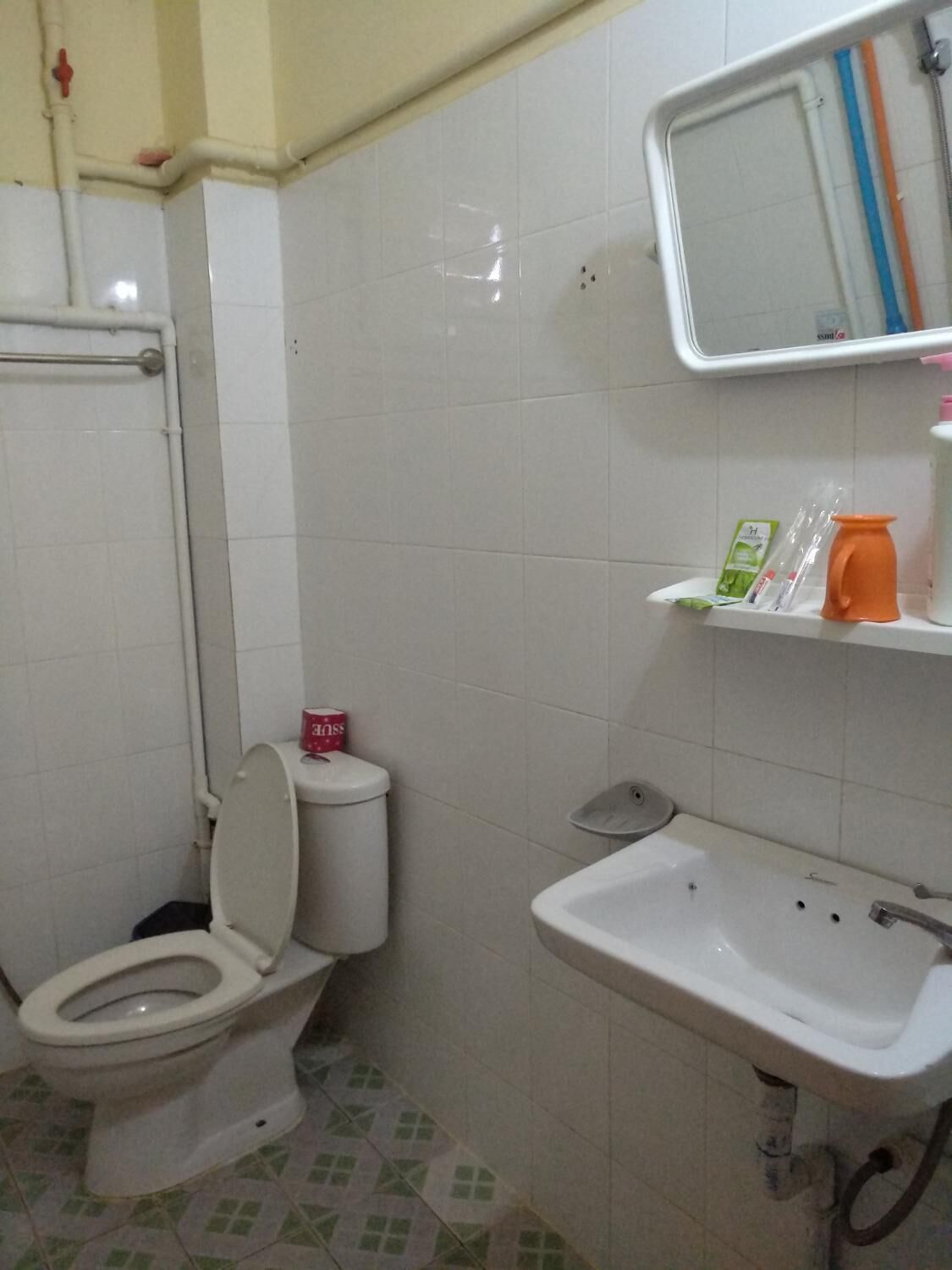 A bathroom with a toilet, sink, and a mirror above the sink.