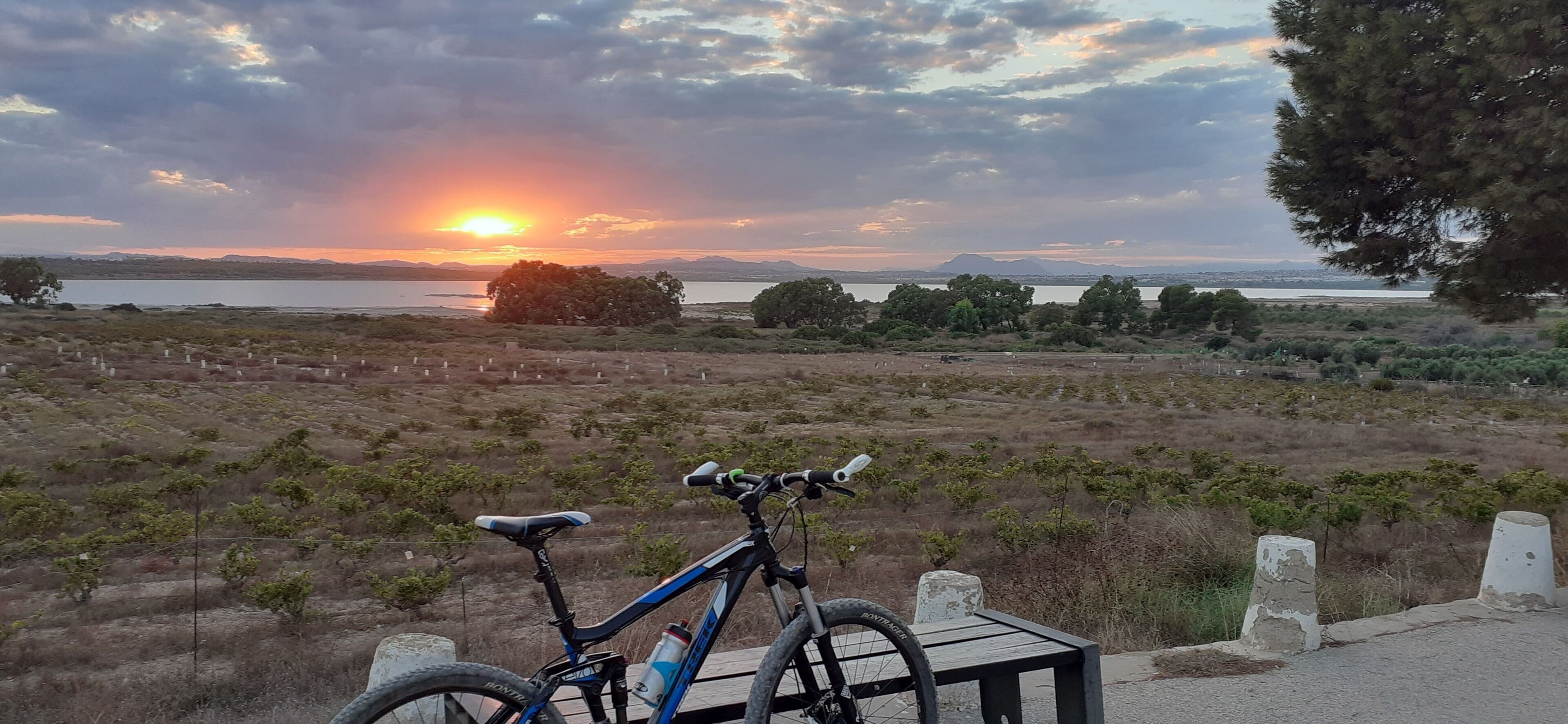 Foto - Lloyds Beach Club