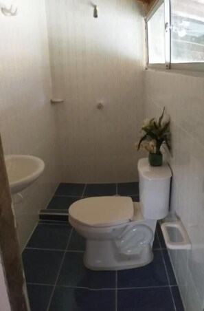 Dusche, kostenlose Toilettenartikel, Handtücher