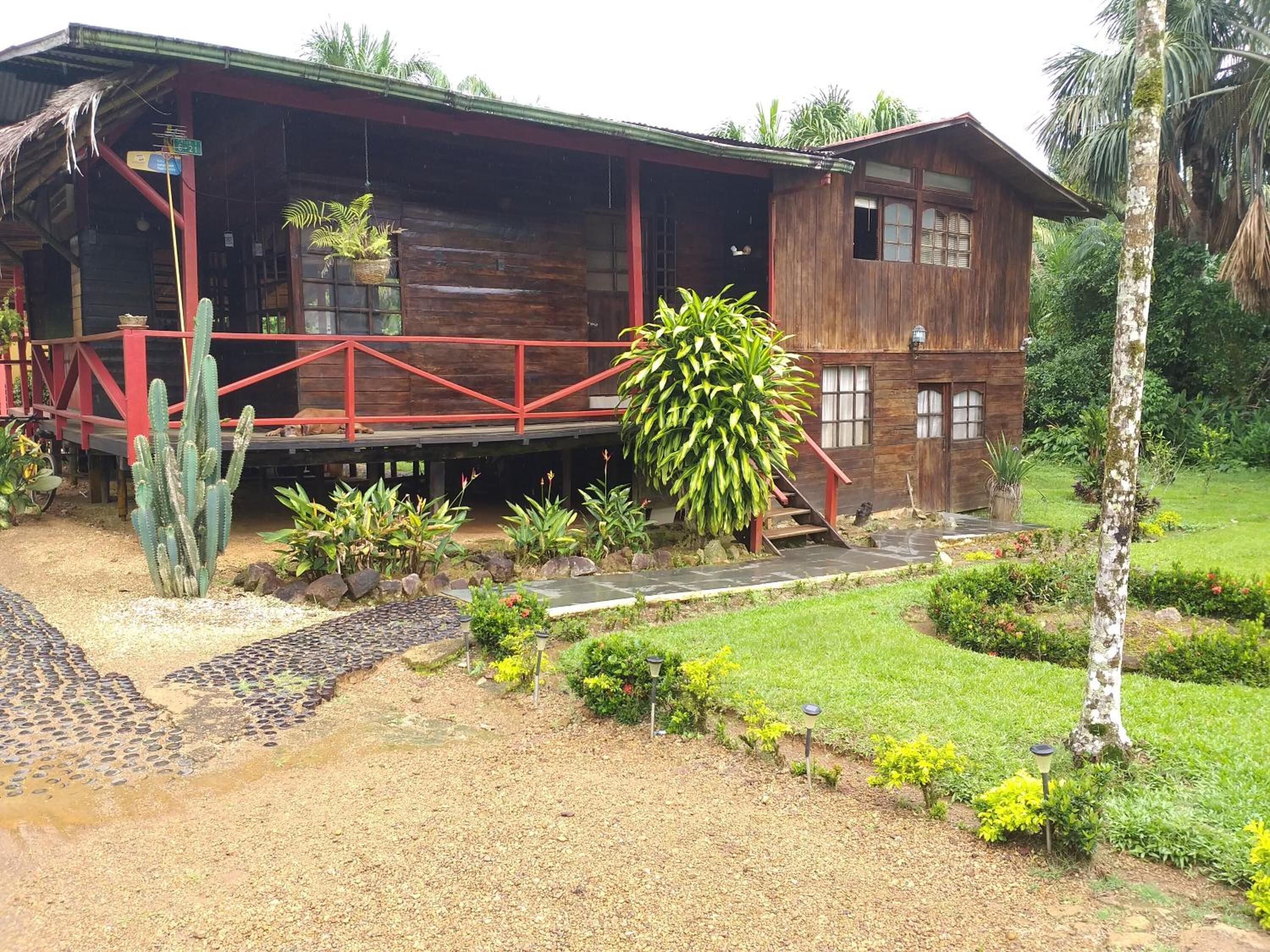 A wooden house with a red railing and a garden with various plants and a large tree.